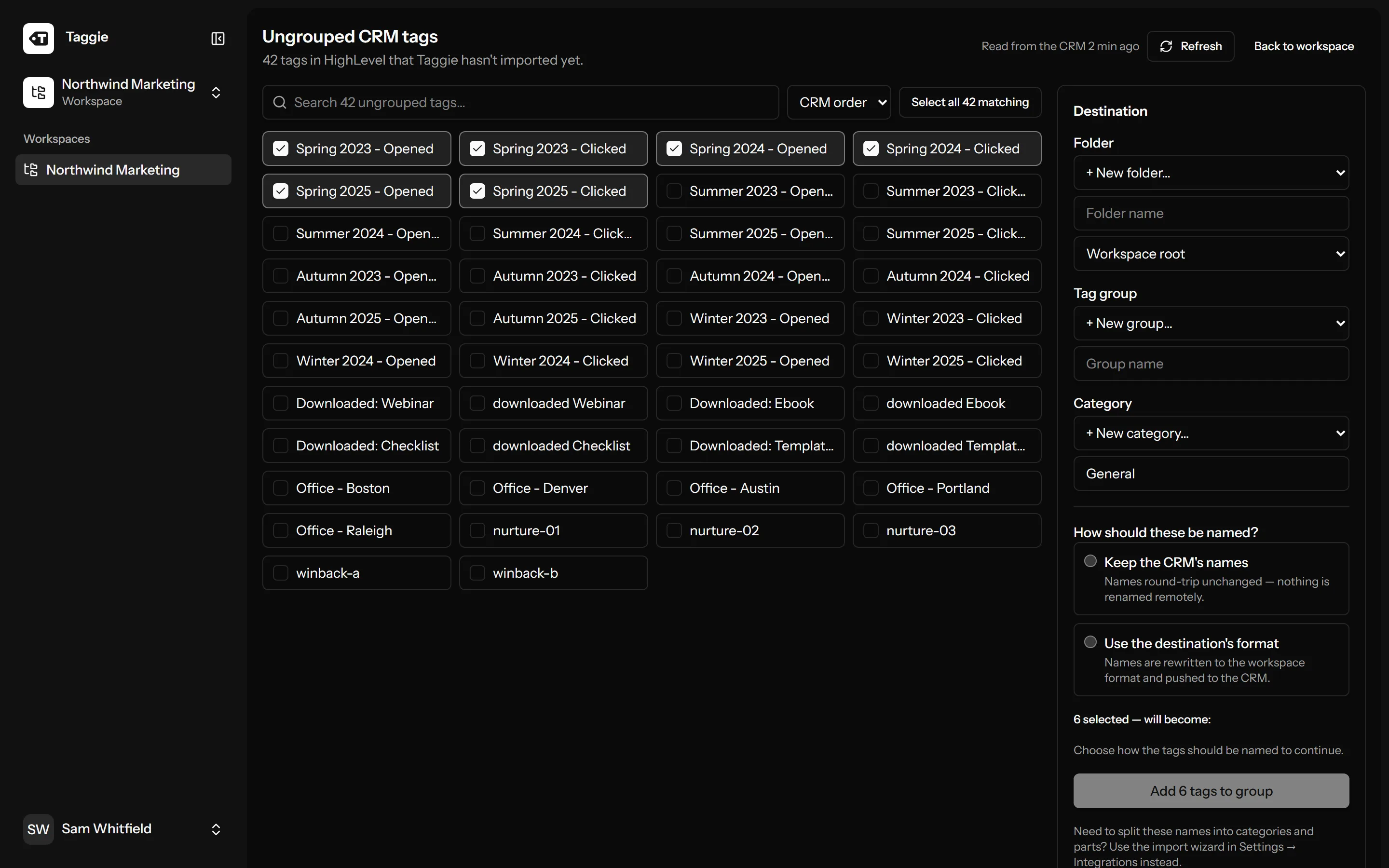 Taggie ungrouped tags workbench with searchable CRM tags, bulk selection and naming choices